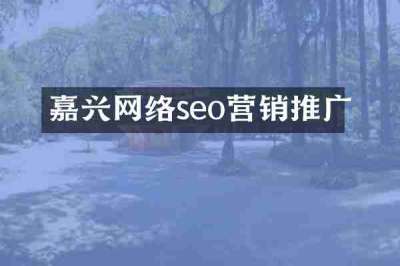 嘉兴网络seo营销推广