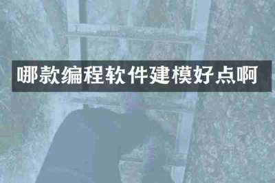 哪款编程软件建模好点啊