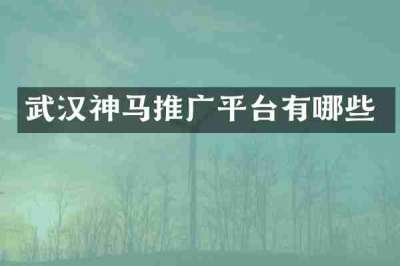 武汉神马推广平台有哪些