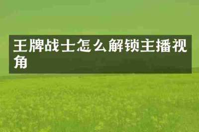 王牌战士怎么解锁主播视角