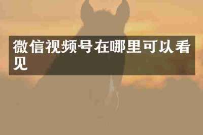 微信视频号在哪里可以看见