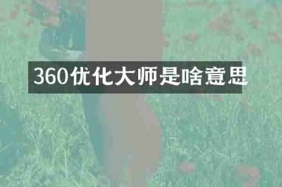 360优化大师是啥意思