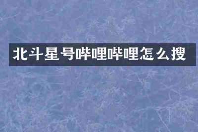 北斗星号哔哩哔哩怎么搜