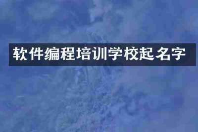 软件编程培训学校起名字