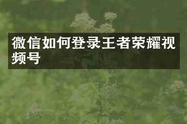 微信如何登录王者荣耀视频号