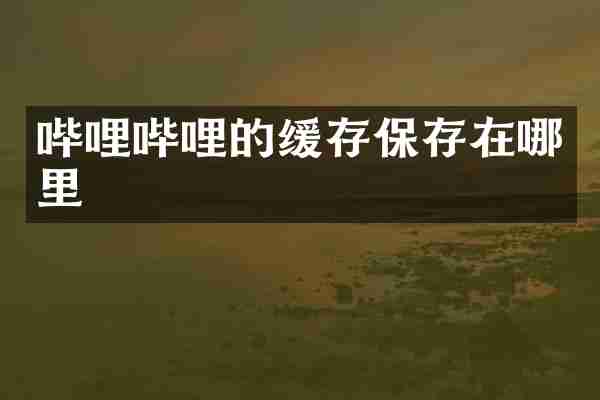 哔哩哔哩的缓存保存在哪里