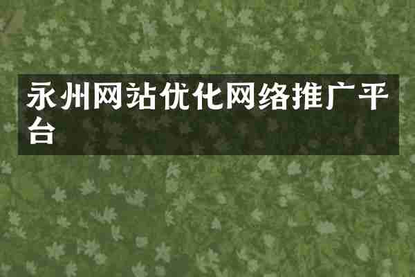 永州网站优化网络推广平台