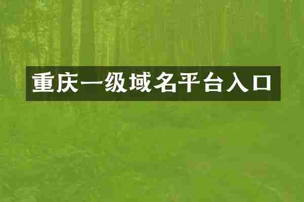 重庆一级域名平台入口