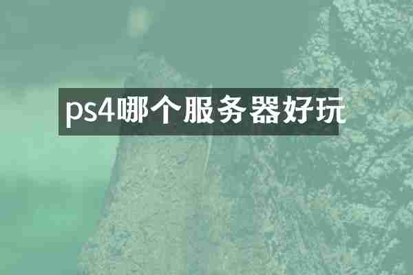 ps4哪个服务器好玩