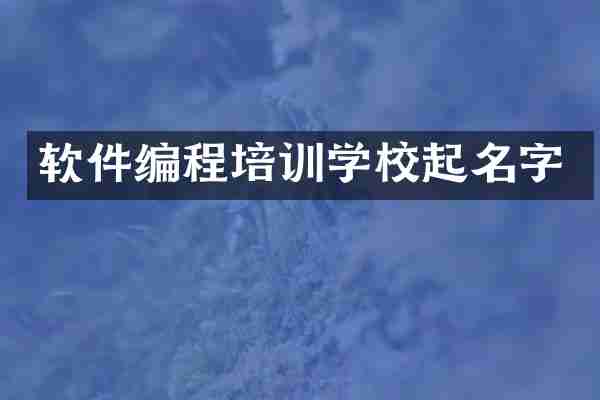 软件编程培训学校起名字