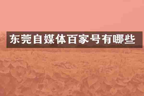 东莞自媒体百家号有哪些