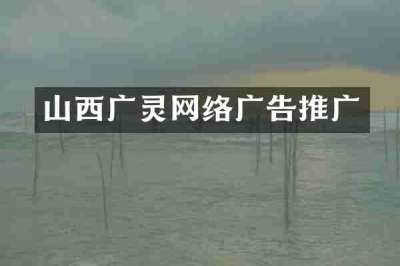 山西广灵网络广告推广