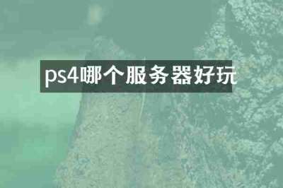 ps4哪个服务器好玩