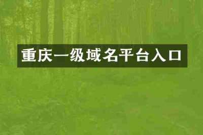 重庆一级域名平台入口