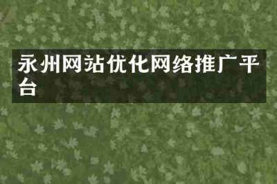 永州网站优化网络推广平台