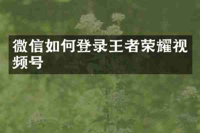 微信如何登录王者荣耀视频号