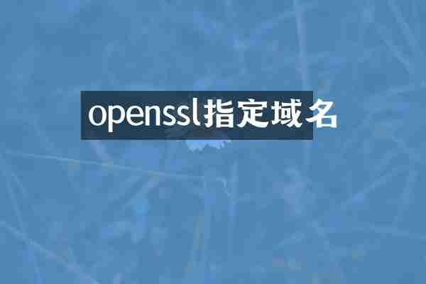 openssl指定域名