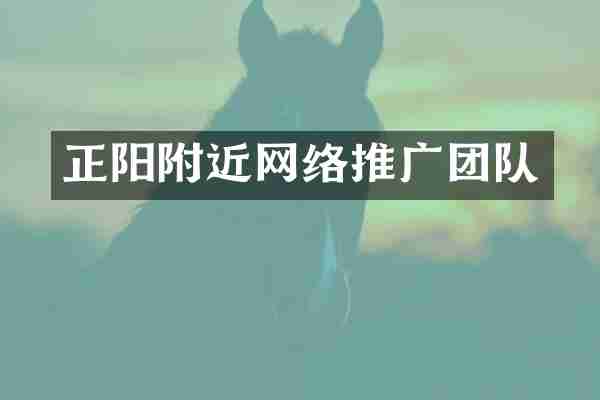 正阳附近网络推广团队