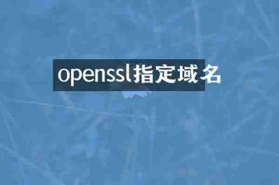 openssl指定域名