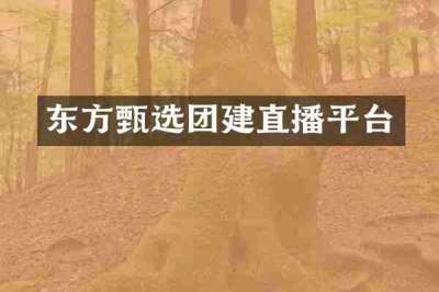 东方甄选团建直播平台