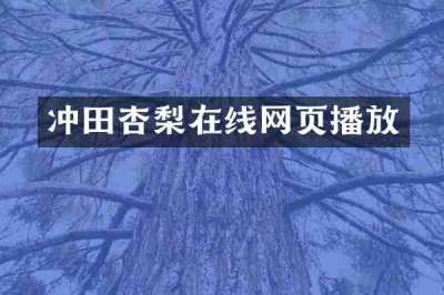 冲田杏梨在线网页播放