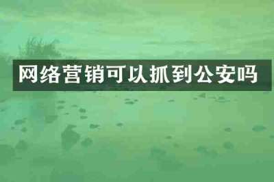 网络营销可以抓到公安吗