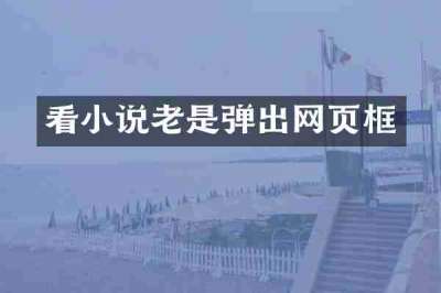 看小说老是弹出网页框