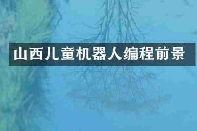 山西儿童机器人编程前景