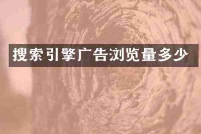 搜索引擎广告浏览量多少