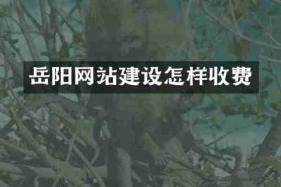 岳阳网站建设怎样收费