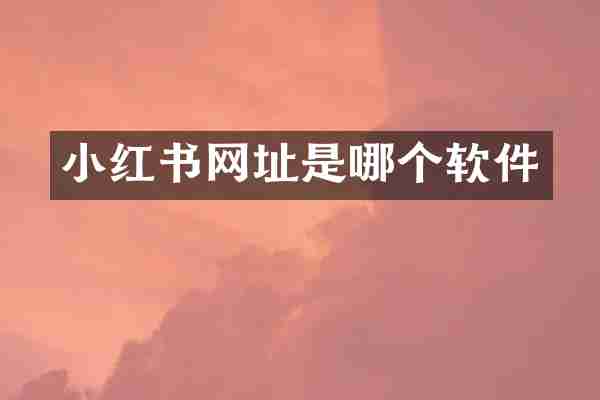 小红书网址是哪个软件