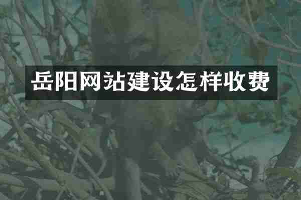 岳阳网站建设怎样收费