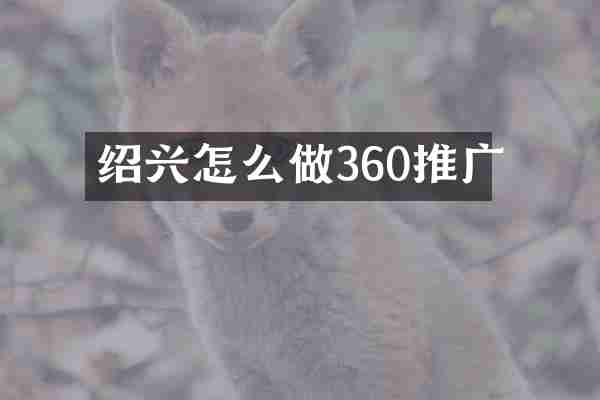 绍兴怎么做360推广