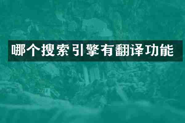 哪个搜索引擎有翻译功能