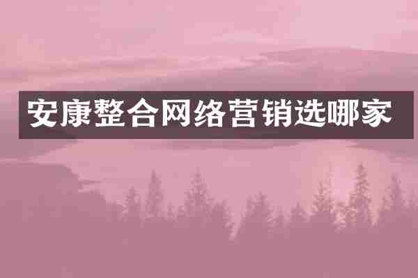 安康整合网络营销选哪家
