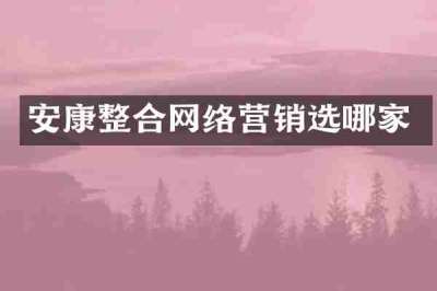 安康整合网络营销选哪家