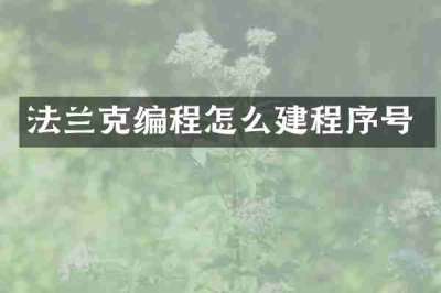 法兰克编程怎么建程序号