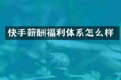 快手薪酬福利体系怎么样