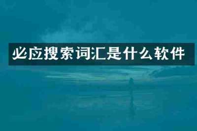必应搜索词汇是什么软件