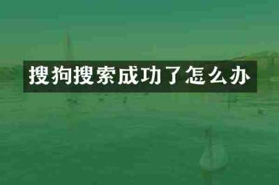 搜狗搜索成功了怎么办