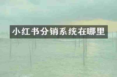 小红书分销系统在哪里