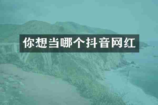你想当哪个抖音网红