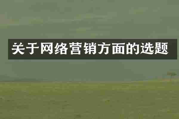 关于网络营销方面的选题