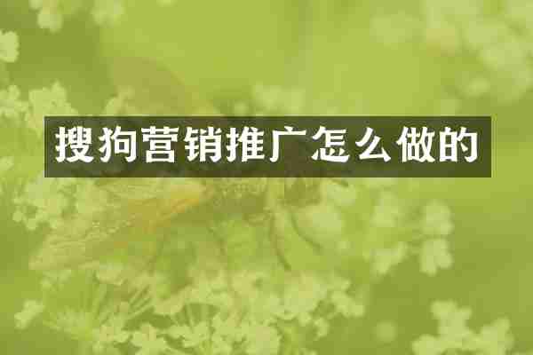 搜狗营销推广怎么做的