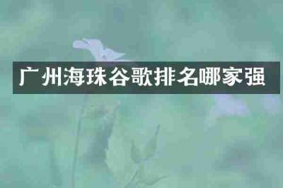 广州海珠谷歌排名哪家强