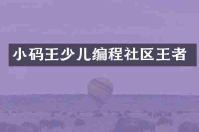 小码王少儿编程社区王者