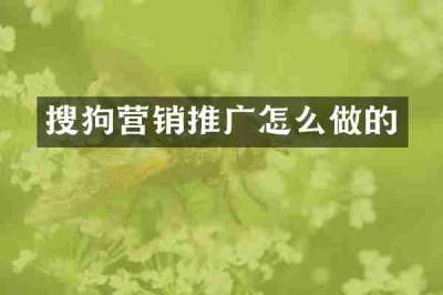 搜狗营销推广怎么做的