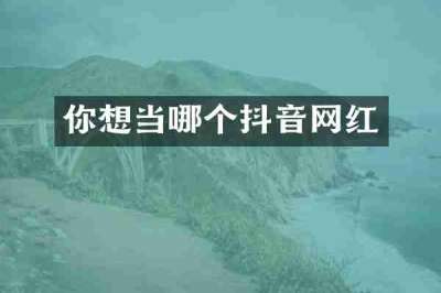你想当哪个抖音网红