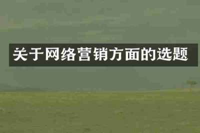 关于网络营销方面的选题