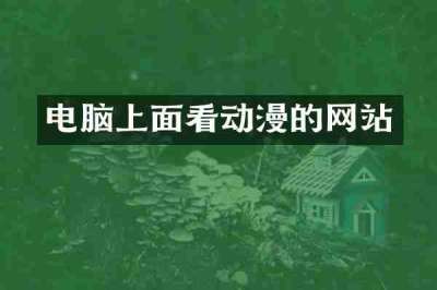 电脑上面看动漫的网站